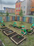 Зелёная аптека